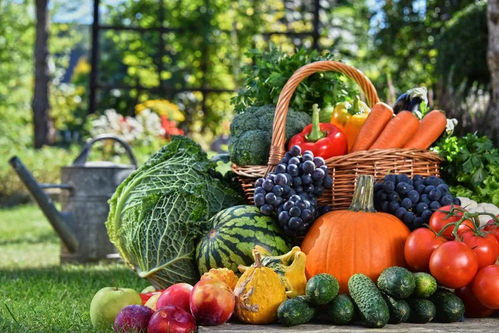 德清農(nóng)副產(chǎn)品特色美食歡樂(lè)購(gòu)開(kāi)啟，新鮮蔬菜等您來(lái)選購(gòu)