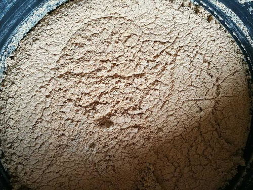 正宇多多黑水虻發(fā)酵蟲漿 內(nèi)陸水產(chǎn)養(yǎng)殖的綠色革命，魚蝦健康新“食”代