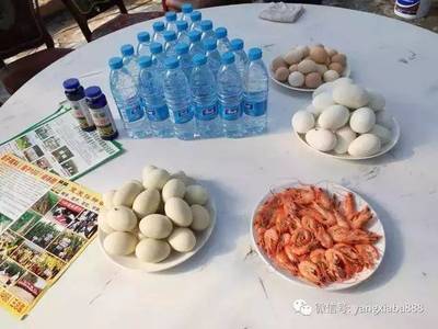 內(nèi)陸水產(chǎn)新突破 純物理殺菌技術(shù)助力“草原蝦”畝產(chǎn)達2000斤